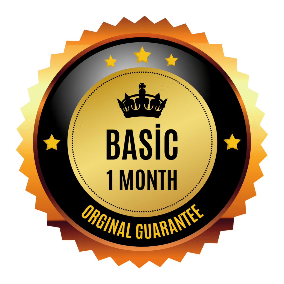 BASIC subscription - Image 1